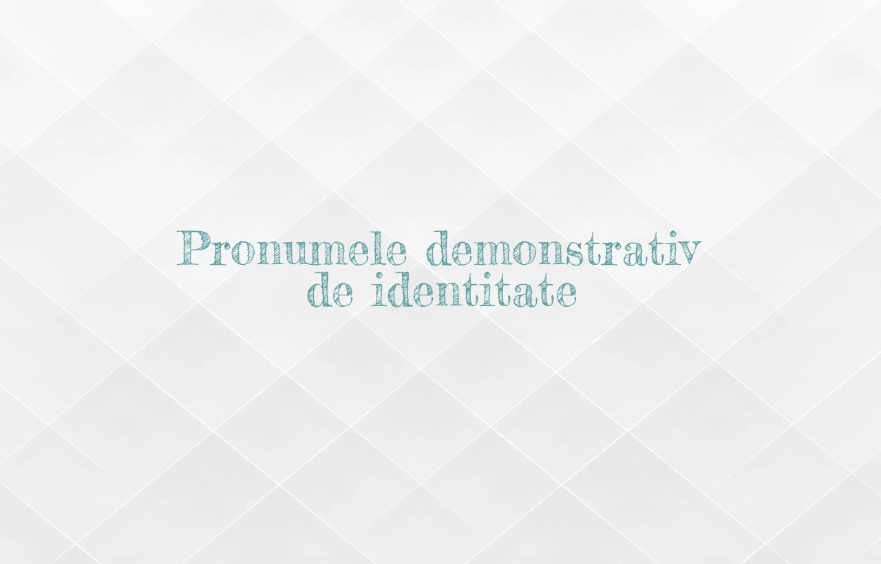 pronume demonstrativ de identitate