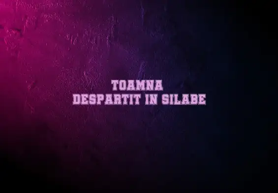 toamna despartit in silabe