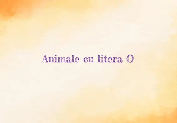 animale cu litera o