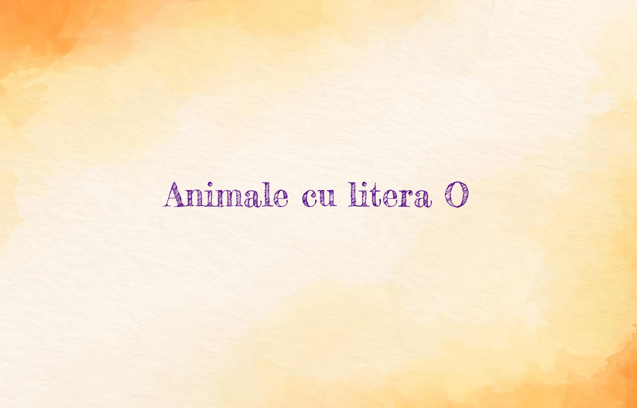 animale cu litera o