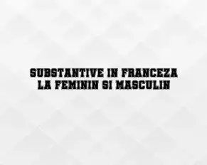 substantive in franceza la feminin si masculin