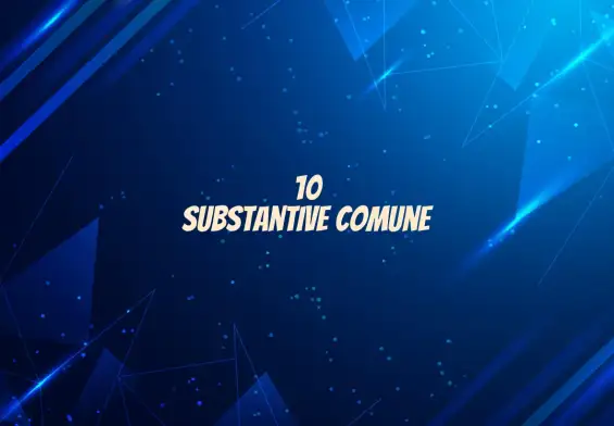 10 substantive comune