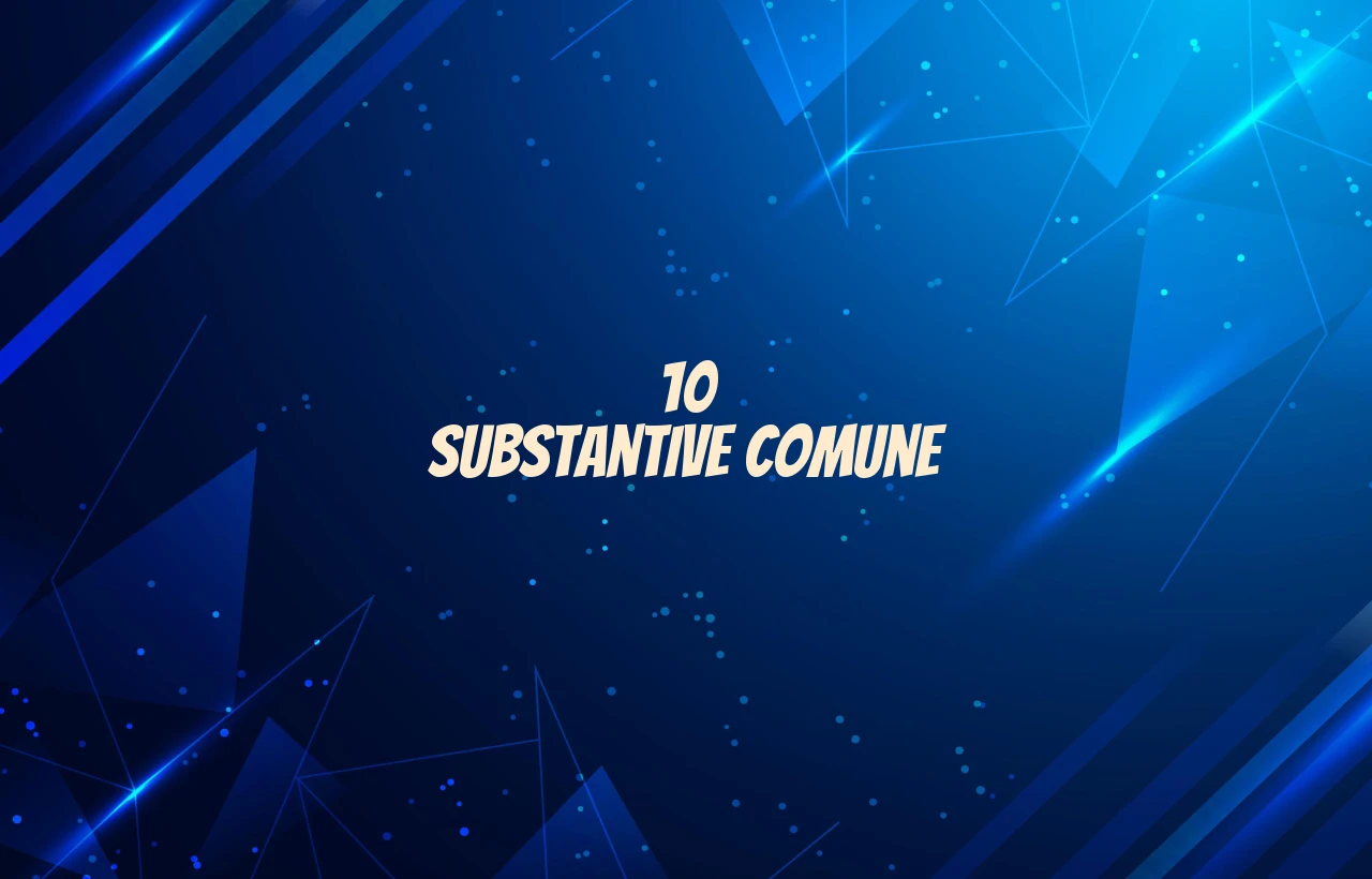 10 substantive comune