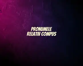 pronume relativ compus