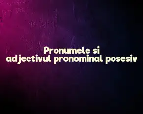 pronumele si adjectivul pronominal posesiv