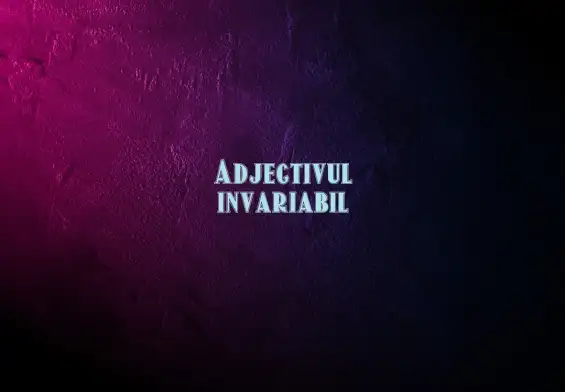 adjectiv invariabil
